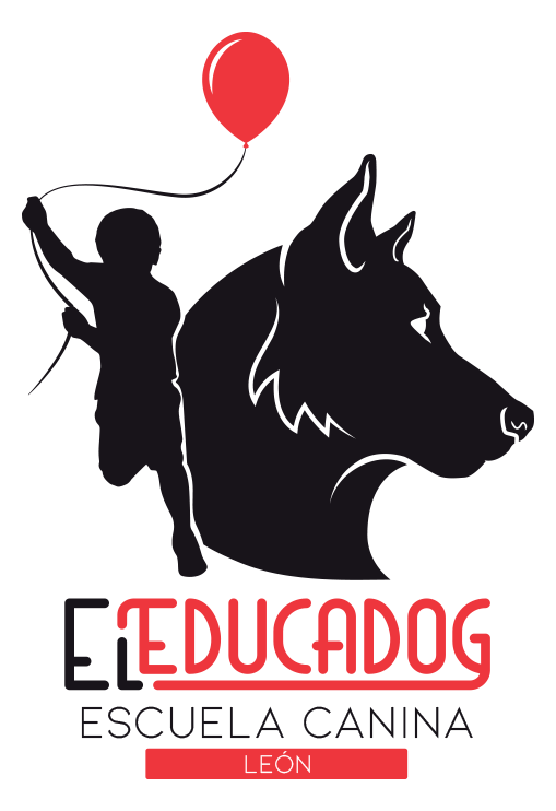 Escuela de Adiestramiento Canino en León