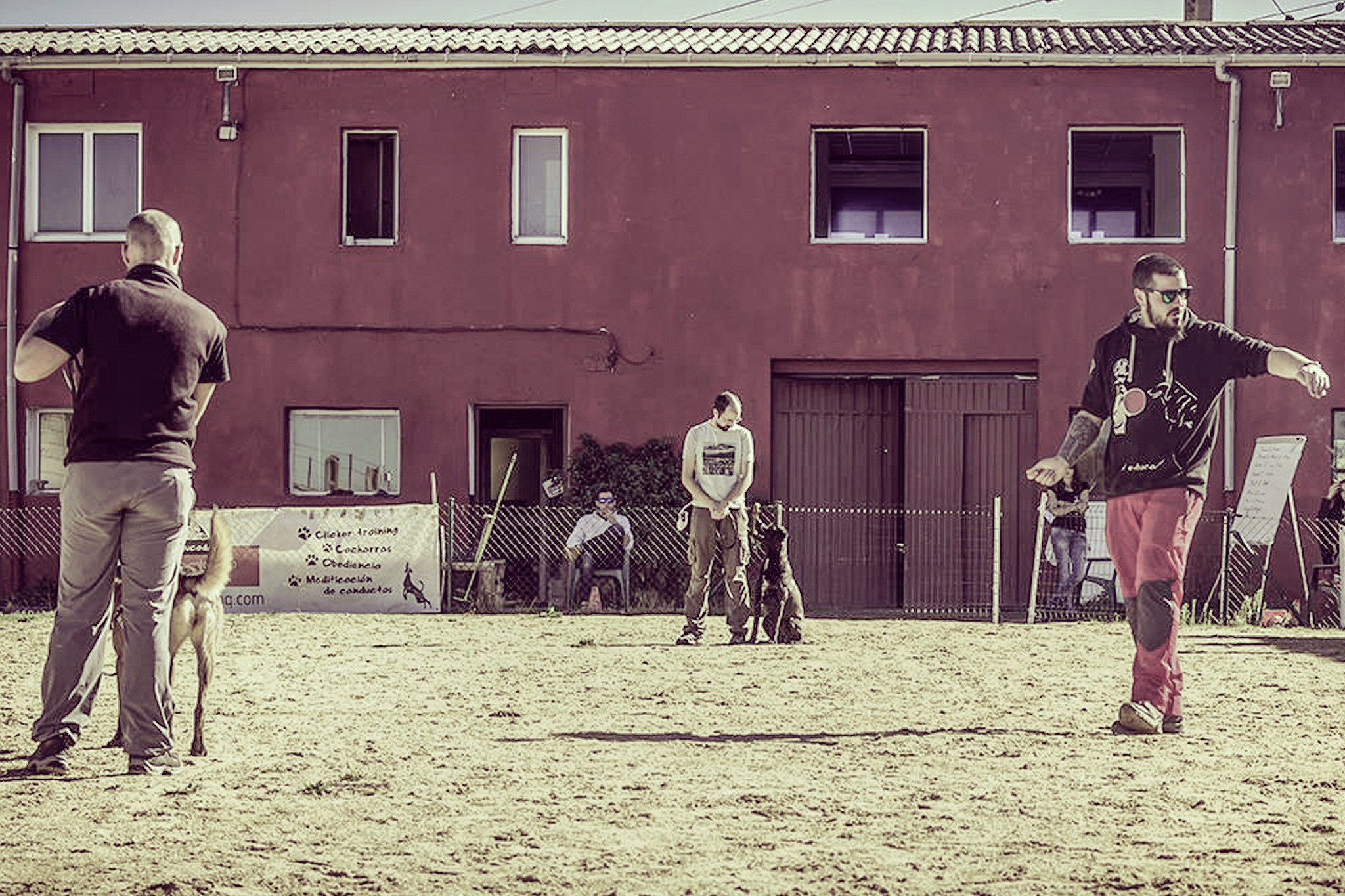 Escuela de Adiestramiento Canino en León