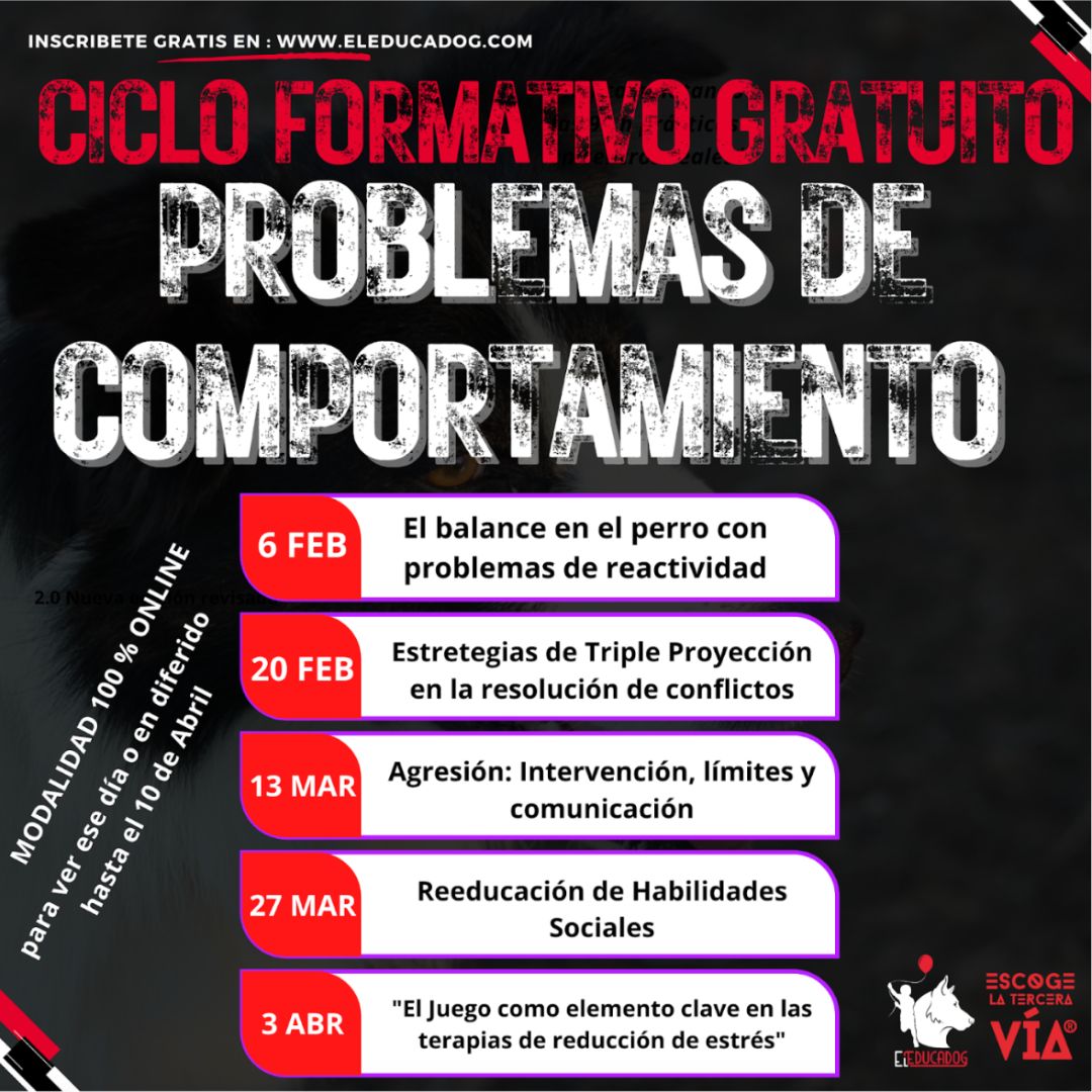 escuela, adiestramiento canino, educadores caninos, el educadog, granada, leon, ciclo, formativo, problemas, comportamiento