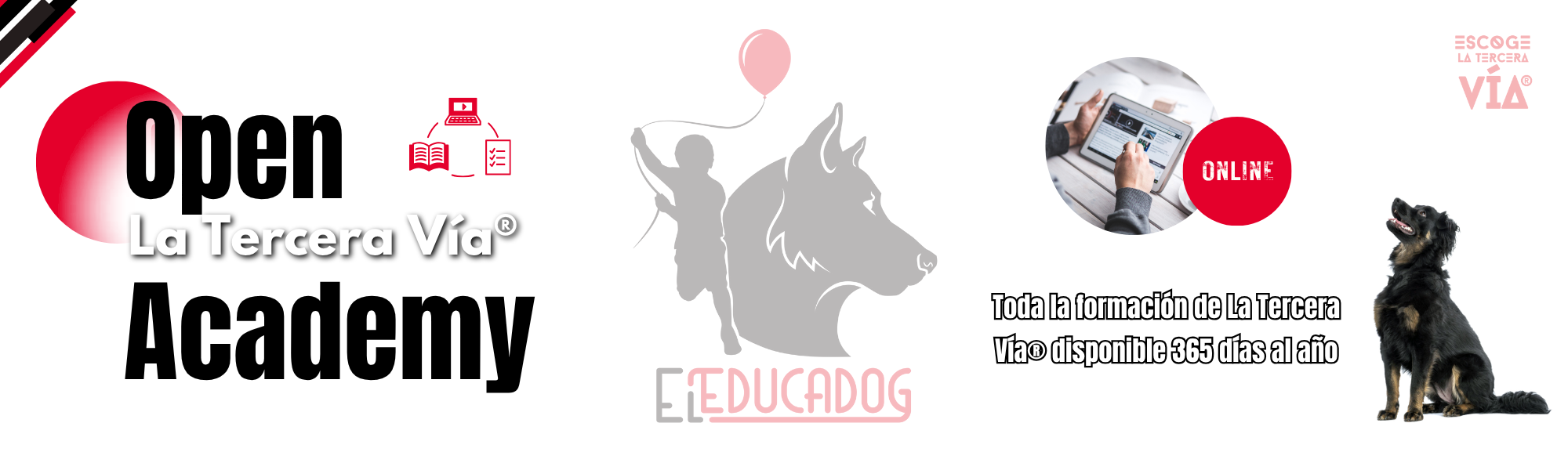 Slideshow ECL3V 2024-2025 (1)